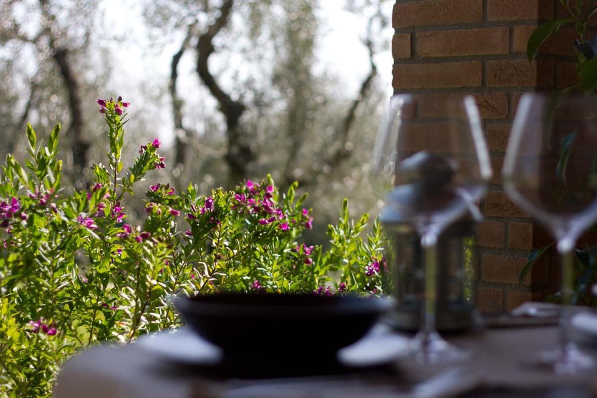 Il Bottaccio Casa Di Campagna Venturina Terme Luaran gambar