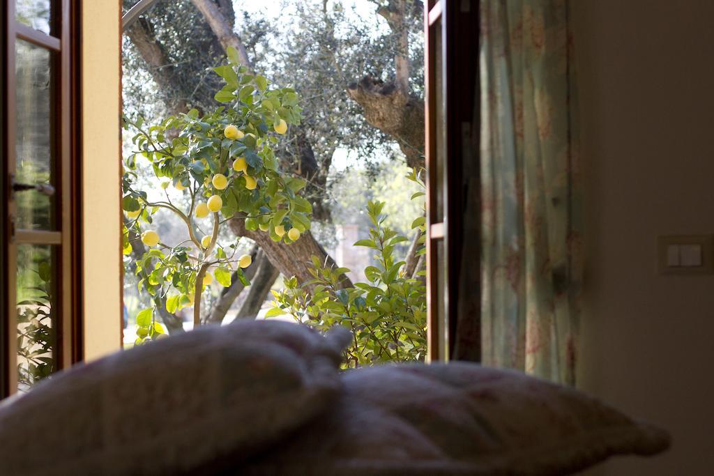 Il Bottaccio Casa Di Campagna Venturina Terme Bilik gambar