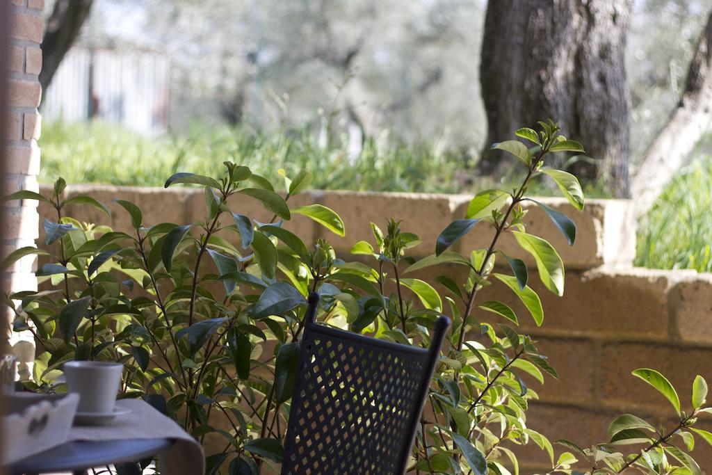 Il Bottaccio Casa Di Campagna Venturina Terme Bilik gambar